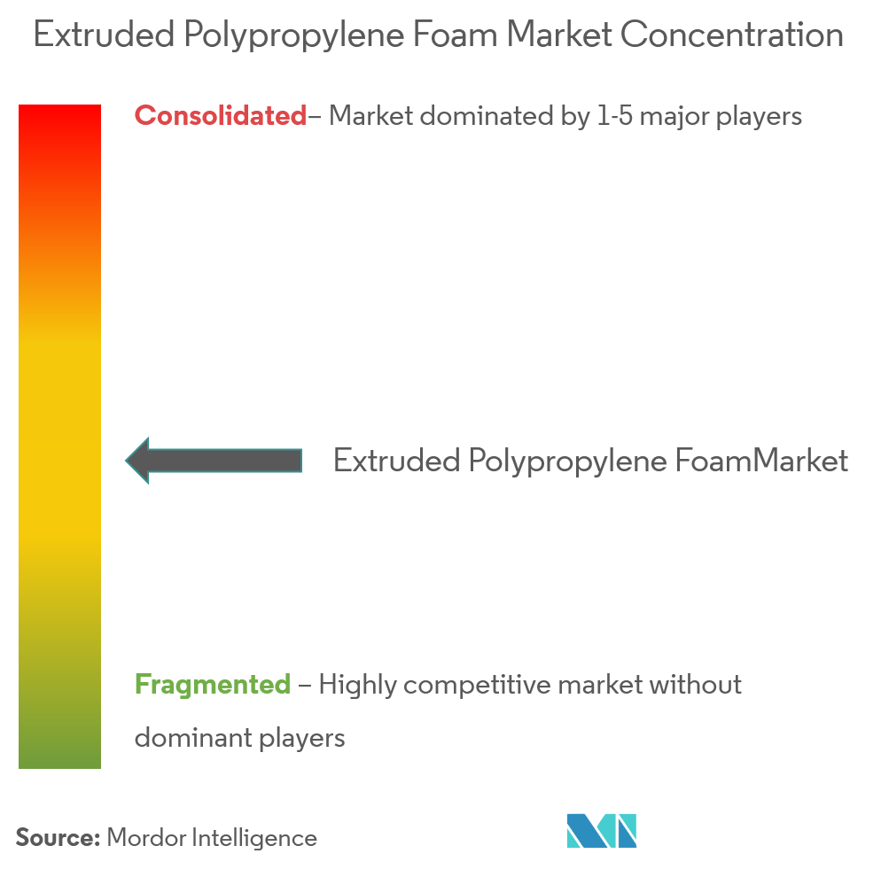 Borealis AG, Mitsui Chemicals Tohcello.Inc., Sumitomo Chemical, Pregis LLC, NMC SA